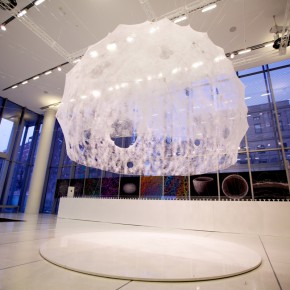 Silk Pavilion：由桑蚕参与打造的展厅设计品